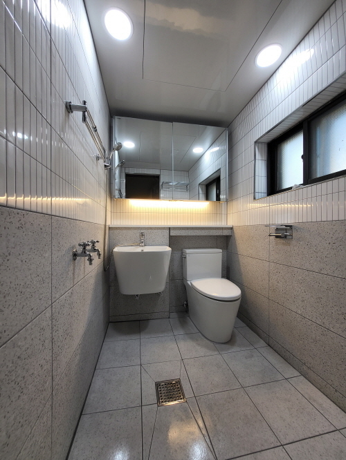 Model : 루시 2